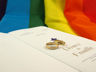 Mariage homosexuel français (projet)