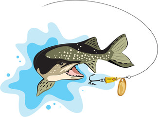 pike and lure fishing, vector illustration