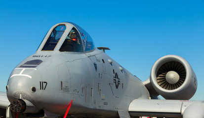 Fototapeta na wymiar A-10 Thunderbolt jet