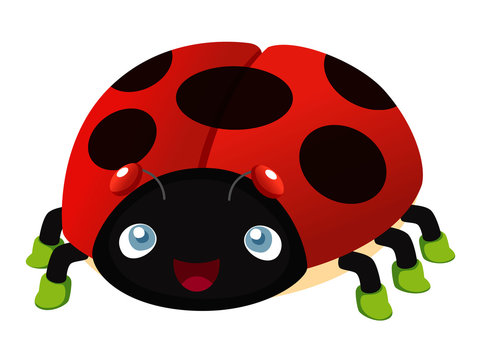 illustration of Ladybug cartoon
