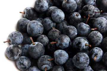Blackthorn berries