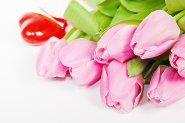 Pink tulips, it is isolated on white