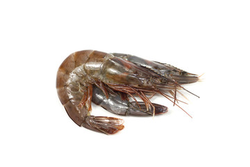crevette