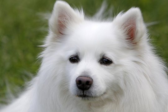 รูปภาพMittelspitz – เลือกดูภาพถ่ายสต็อก เวกเตอร์ และวิดีโอ103 | Adobe Stock