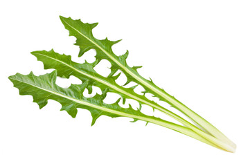 salad leaves