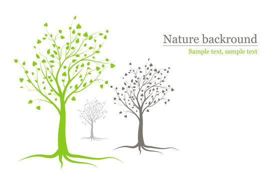 vector background - green and grey trees