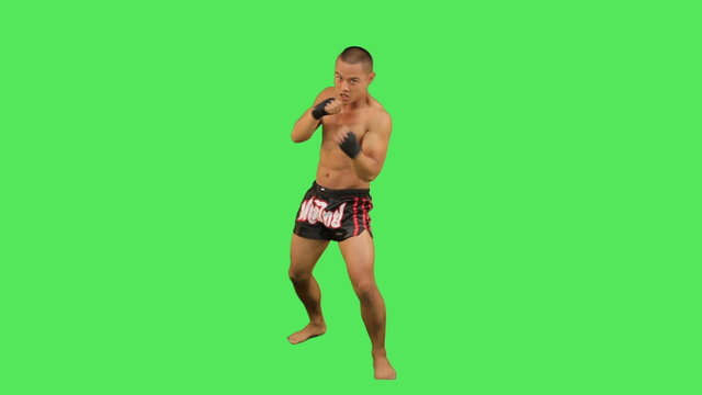 Thai boxer fighting