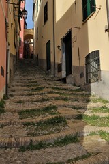 Cervo ligure