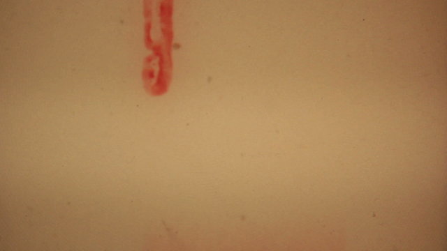 Film Preroll Text