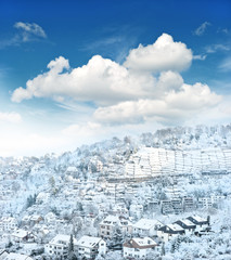 european urban winter landscape with snow