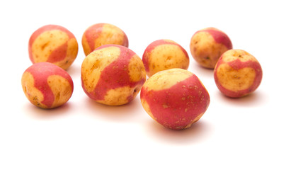 variety of canarian potatoes