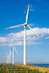 Fototapeta premium Wind farm
