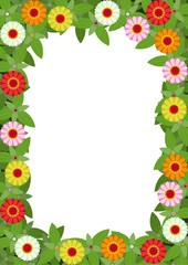 Frame of zinnias flowers with white background
