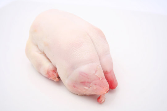 schweinefuss