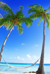 Hammock between palm trees and the sea