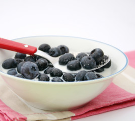Heidelbeeren