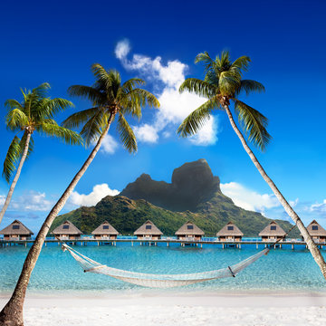 Otemanu mountain,  palms with hammock and sea. Bora-Bora.