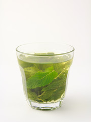 mint tea