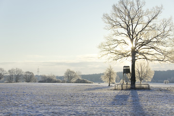 winter landscape with raised blind and tress on the wide field