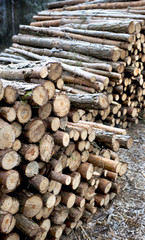 Holzstapel