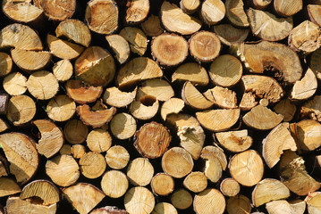 Woodpile