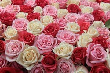 White and pink roses in arrangement