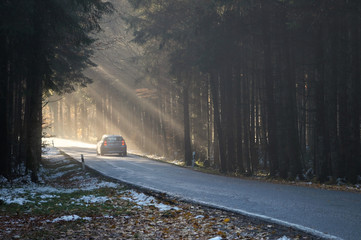 Landstraße im Herbst