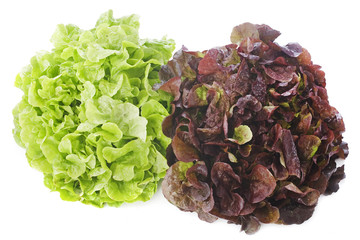 red and green salads