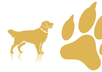 Golden retriever background - vector illustration