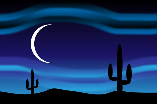 Desert at moonlit night