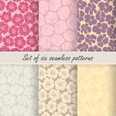Set of six vector seamless flower patterns