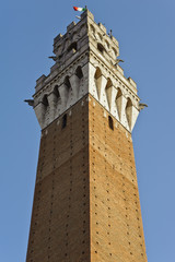Fototapeta premium Siena's Mangia Tower in light and shade
