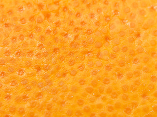 Close up of grapefruit or orange texture.