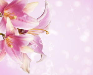 Beautiful flowers card.Pink lily