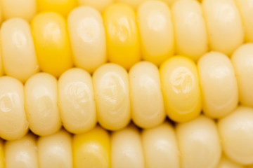 corn as background. macro