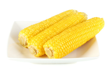 boiled corn isolated on gray on the white plate