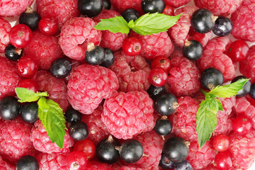 ripe berries with mint, close up.