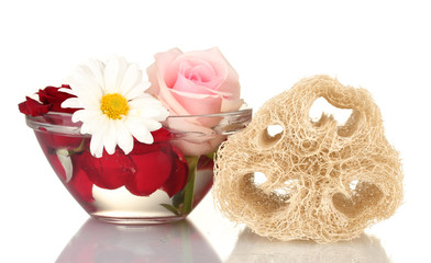 Loofah isolated on white