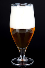 Glass of beer isolated on black
