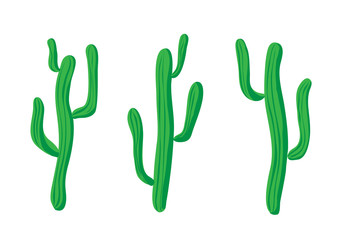 Cactus set, isolated illustration on white