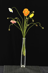 colorful poppy flowers in vase