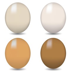 Europaeische Eier braun und weis