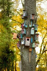 Lots of nesting boxes on a tree