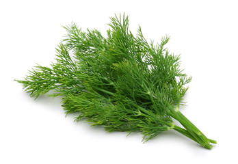 Dill