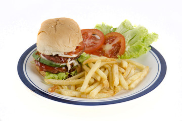 Hamburger with fries