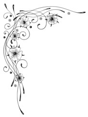 Ranke, Blumen, Blüten, Kalligraphie, filigran