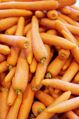 Viele Karotten
