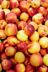 Viele frische Nektarinen