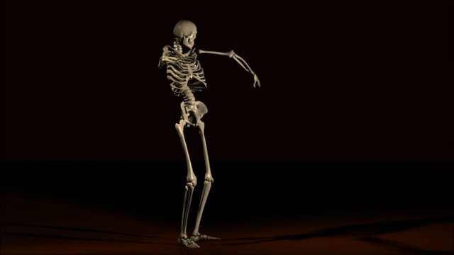Skeleton