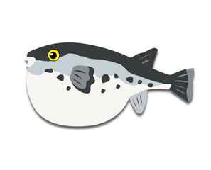 ふぐ　フグ　河豚 © junny stone